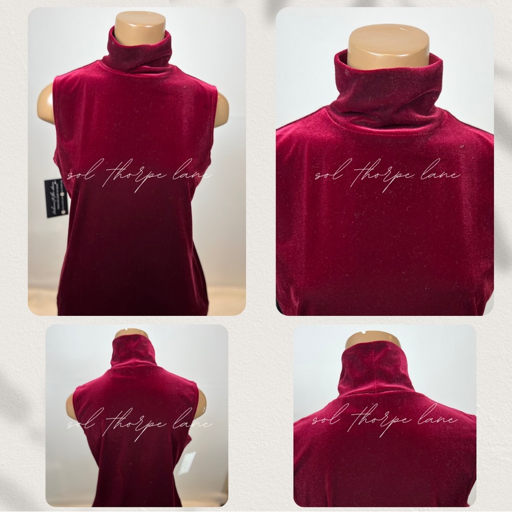 Beautiful Velvet Turtleneck